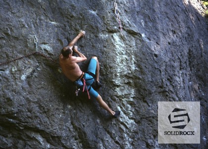 Bild 2 Beitrag Alpine Runner