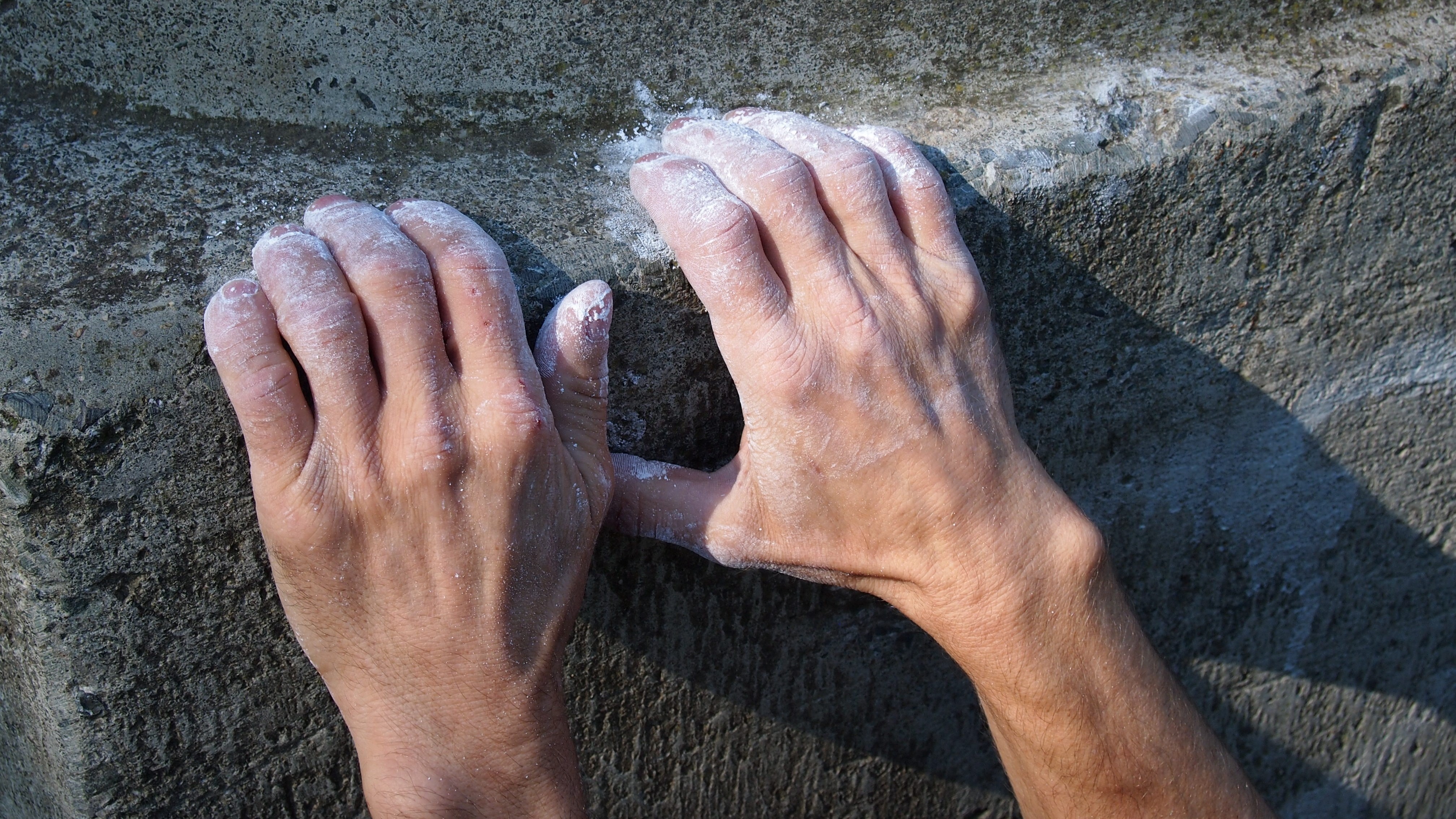 Titelbild Trial Garten