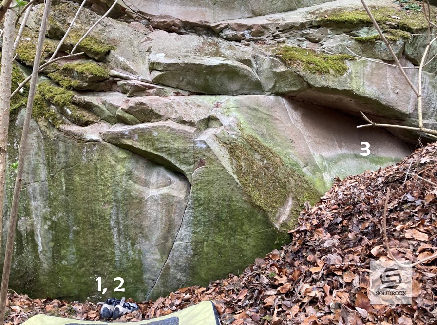 Topo 1 Bruce Lee Sturzberg