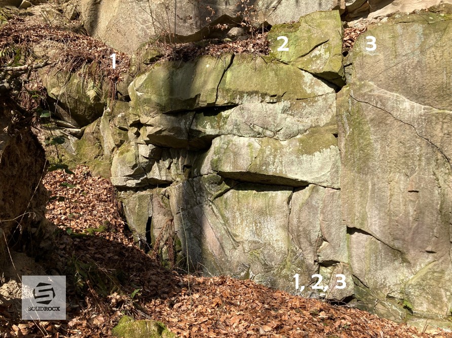 Topo 1 Nacktschnecke Sturzberg