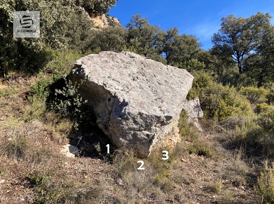 Topo L'Home Ocell Rocs del Pubill