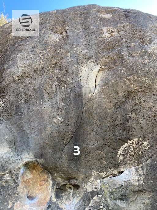 Topo 19 Biosca
