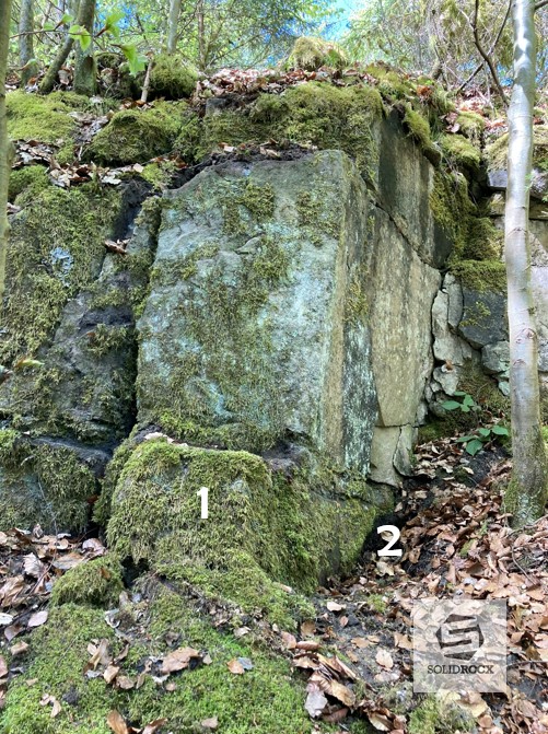 Topo 1 Dachsbergbruch