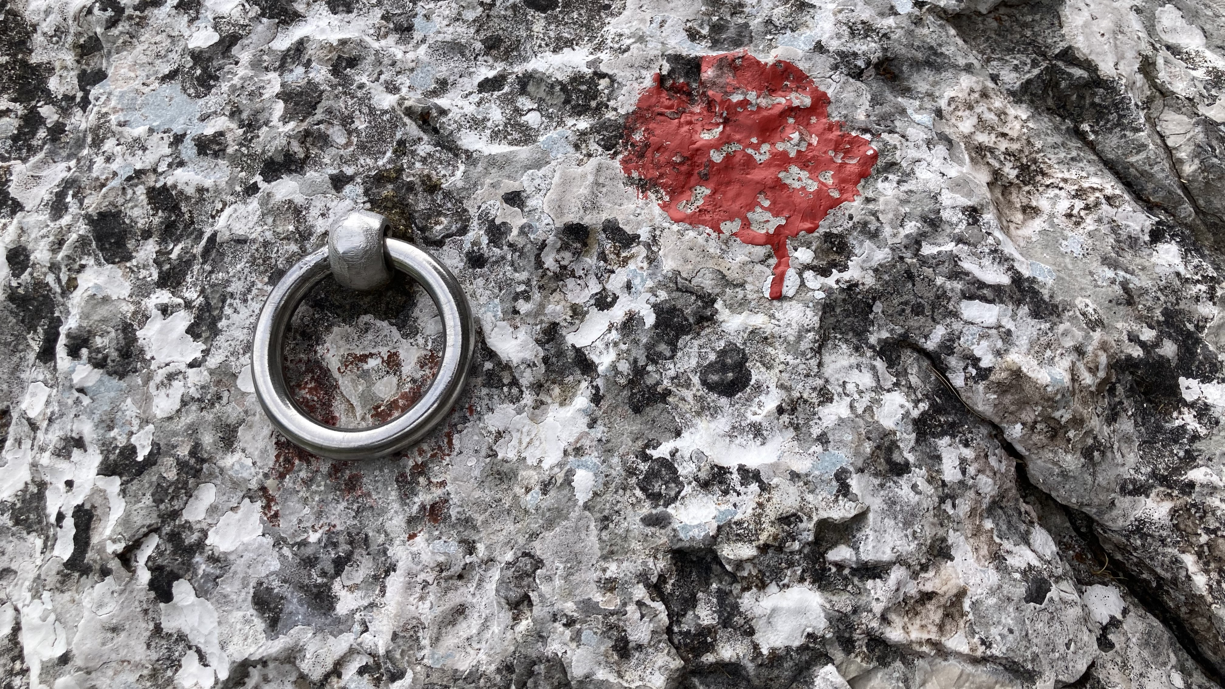 Titelbild Ring