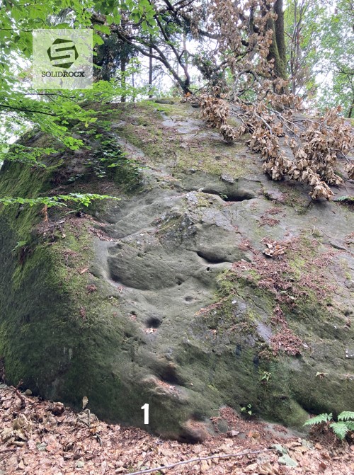 Topo 1 Nordwestlicher Steinbruchwächter Einberger Wald