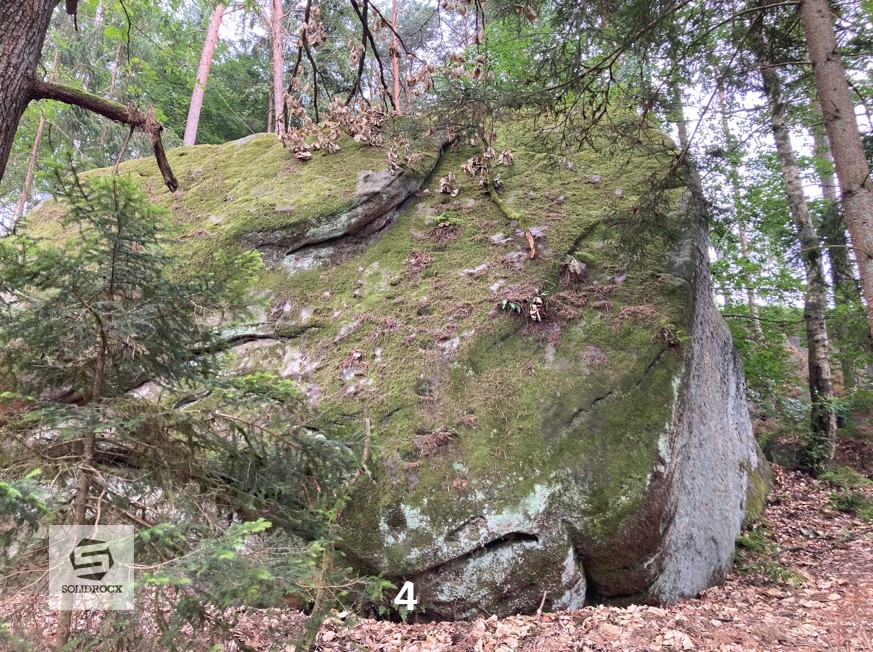 Topo 4 Nordwestlicher Steinbruchwächter Sauloch Einberger Wald